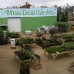 Miss Del's Garden from above. Grand Opening Friday, April 1. Photo by The DB