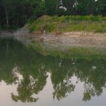 Reflection of trees in a still lake.