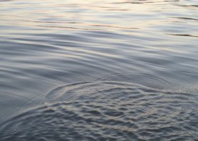 Calm water with ripples and a circle.