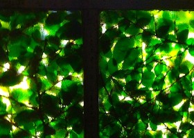 Green leaves through a window pane.