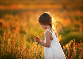 Young girl in a white dress picks flowers.