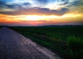 A dirt road through a field at sunset.