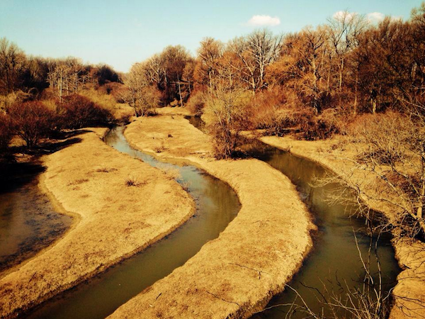 Sunflower River - Photo by Poor William