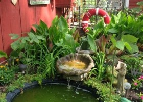 Small pond with fountain in a garden.