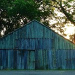 A blue wooden barn in the woods.