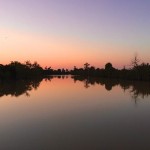 Silhouetted trees reflect in a calm lake at sunset.