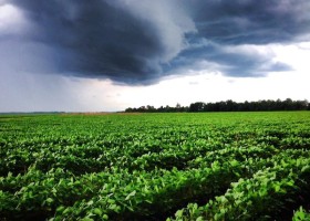 Storm clouds over a green field.