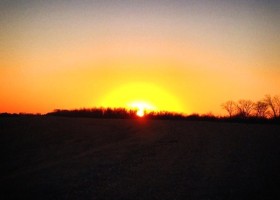 Sunset over a field with trees silhouetted.