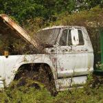 White truck abandoned in overgrown field.