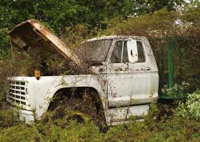 White truck abandoned in overgrown field.