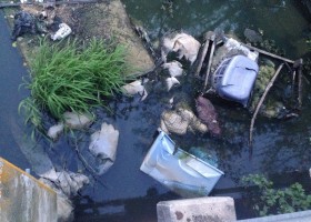 Trash and debris in a murky pond.