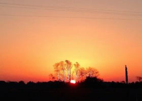 Sunset with trees and power lines.