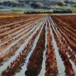 Watercolor painting of a plowed field.