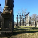 Ruins of a stone columned building.