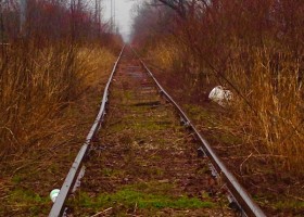 Abandoned train tracks in overgrown field.