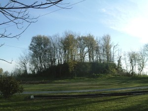 Wooded hill with grassy field and trees.