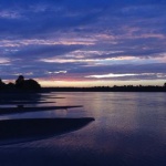 Silhouetted trees at sunset over water.