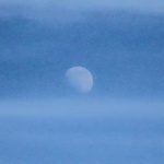 A waxing gibbous moon in a blue sky.