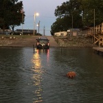 A dog swimming in a lake with a car in the background.