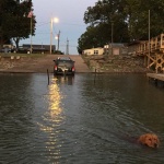 Dog swimming in lake near a boat ramp.