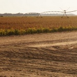 Farm field with irrigation system and dirt road.