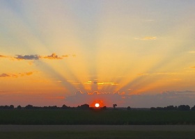 Sunset with sunbeams over a field.