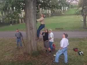 Tree climbing to retrieve disc with group effort