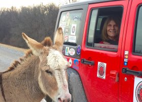 Whistle and Felicia on the Levee on a Delta Bohemian Tour