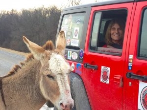 Whistle and Felicia. Delta Wildlife