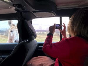 Felicia enjoying all the Delta wildlife on her Delta Bohemian Tour