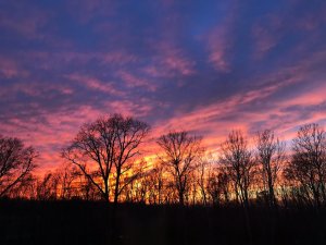 Sunset in the Mississippi Delta