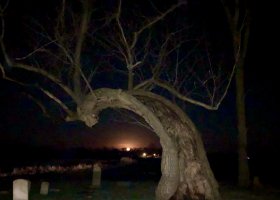 Bent tree in a cemetery at night.