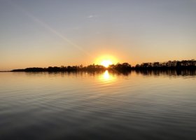 Silhouetted trees reflected in calm water at sunset.