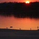 Sunset over calm lake with birds.