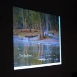 Two canoes on a calm river in a forest.