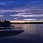 Silhouetted trees at sunset over water.