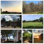 Delta Plein Air Artists Unite in Charleston, Mississippi for Paint the Gateway to the Delta