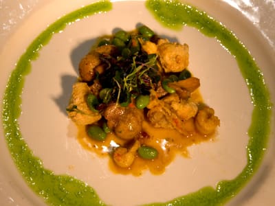 Gourmet dish with green sauce garnish