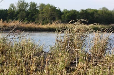 Scenic river view with grass