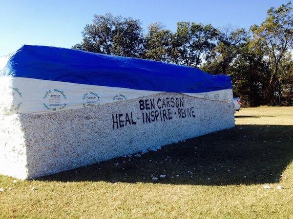 Mississippi Delta Cotton Module Message - by Jaby Denton