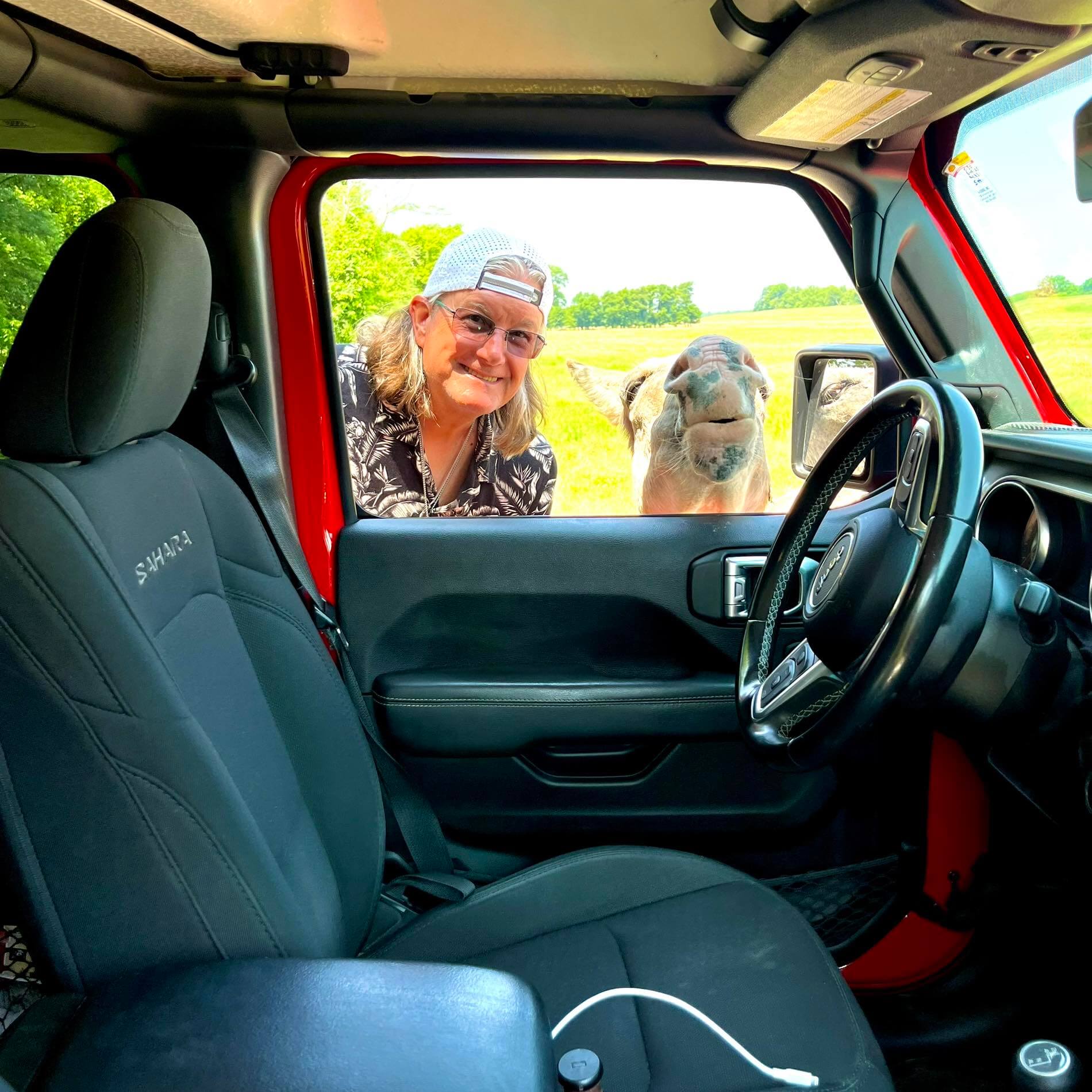 Inside view of car with outdoor scenery