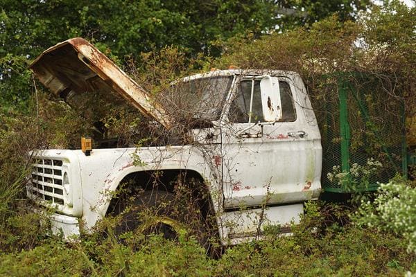 Abandoned truck overgrown with vegetation