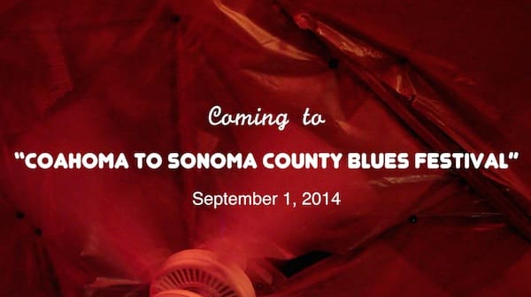 Blues Festival Announcement Poster