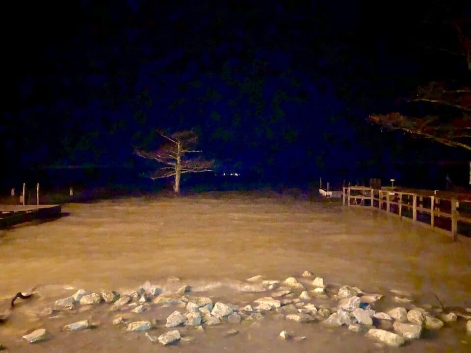 Flooded area with tree and pier at night.
