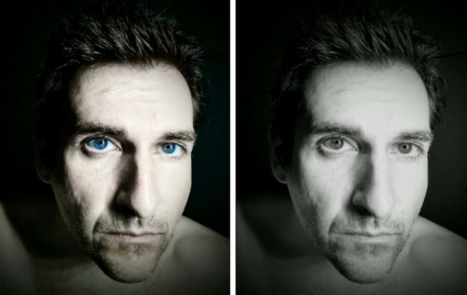 Black and white portrait comparison