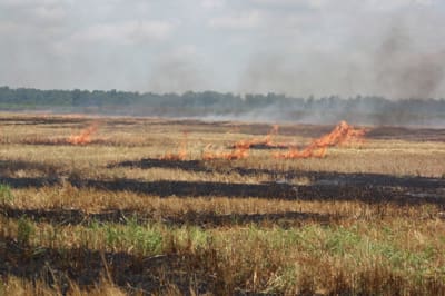 Flames spreading across dry grassland