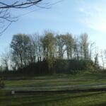 Wooded hill with grassy field and trees.