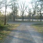 Gravel road leading to a lake.