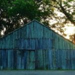 A blue wooden barn in the woods.