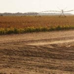 Farm field with irrigation system and dirt road.